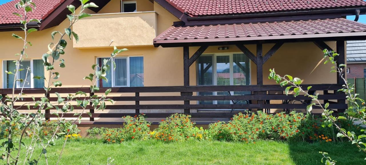 Carpen View Residence Săcele Exterior foto